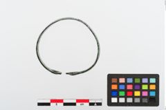 Foto von Bronzearmreif (NHMW-PRAE-024386)